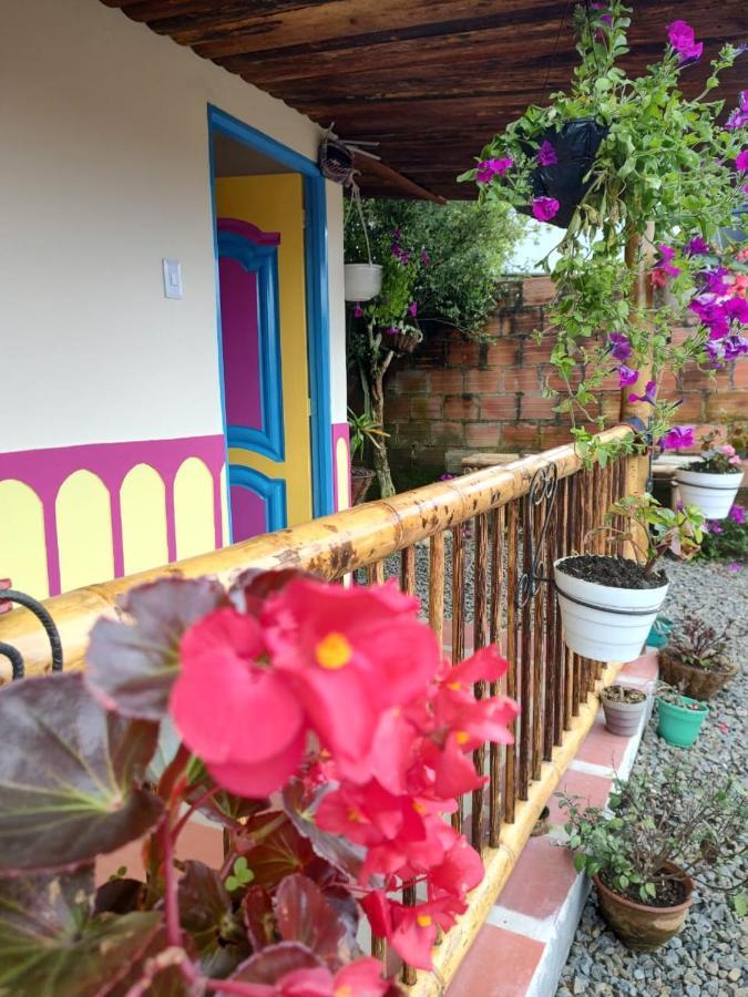 Hostal Casa Madrigal Hotell Filandia Exteriör bild